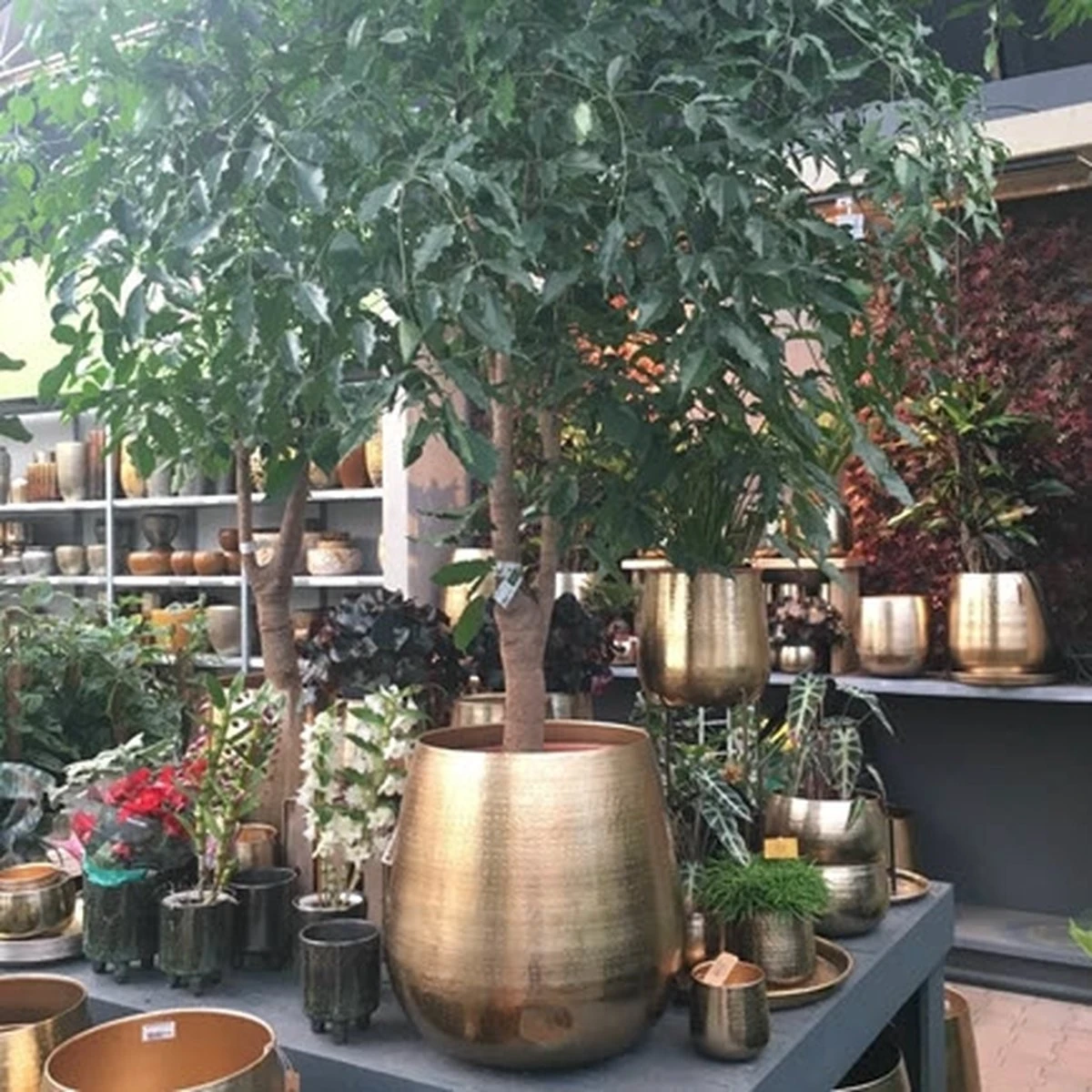 Merkloos Bloempot Karakter Goud - L 6 Merkloos Bloempot Karakter Goud - L - Image 6