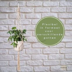 Plantenhanger - Plantenhanger Macrame - Set Van 2 - Wit - Knopen - Luxe Gevlochten Touw - Met Ophang Haken - Fienosa -Tuinartikelen Winkel 1200x1200 1874