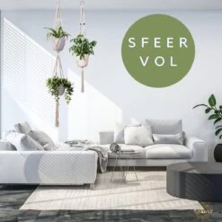 Plantenhanger Macrame Set Van 2 - Plantenhanger Met Ruimte Voor 3 Potten - Luxe Gevlochten Touw 100% Katoen - Duurzaam - Plantenbakken - Bloempotten - Macramé Stijl Hanger Voor Bloempotten - Hangpot - Fienosa -Tuinartikelen Winkel 1200x1200 1879