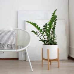 LifeGoods Planten Standaard - Uitschuifbare Bloempothouder - 20 Tot 30 Cm - Licht Bamboe -Tuinartikelen Winkel 1200x1200 1906