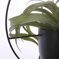 Mica Decorations Dexter Bloempot Hangend - L34 X B14 X H65 Cm - Zwart -Tuinartikelen Winkel 1200x1200 1908