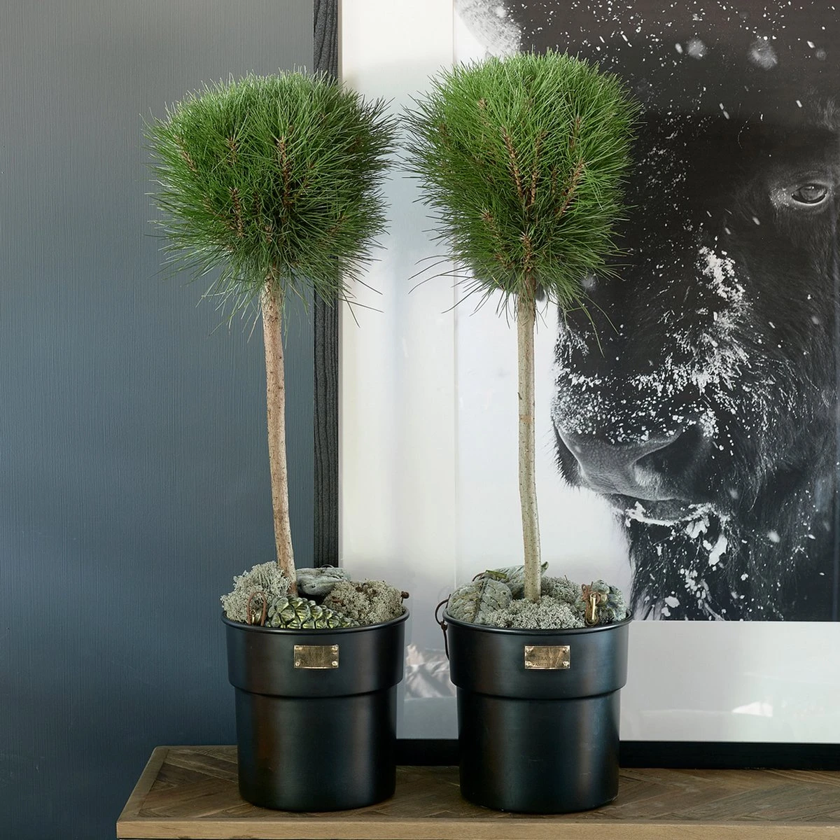 Riviera Maison Bloempot Voor Binnen Zwart - City Loft Flower Pot S 3 Riviera Maison Bloempot Voor Binnen Zwart - City Loft Flower Pot S - Image 3