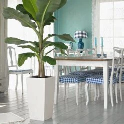 Prosperplast Kunststof Urbi Bloempot/plantenpot Met Binnenpot Wit 32 X 32 X 61 Cm - 21/49 Liter - Hoge Vierkante Bloempotten -Tuinartikelen Winkel 1200x1200 1928