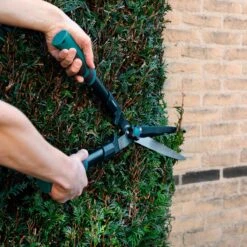 VONROC Snoeischaren Set / Snoeiset - 3-delig - Takkenschaar, Heggenschaar En Snoeischaar 13 VONROC Snoeischaren Set / Snoeiset - 3-delig - Takkenschaar, Heggenschaar En Snoeischaar -Tuinartikelen Winkel 1200x1200 948