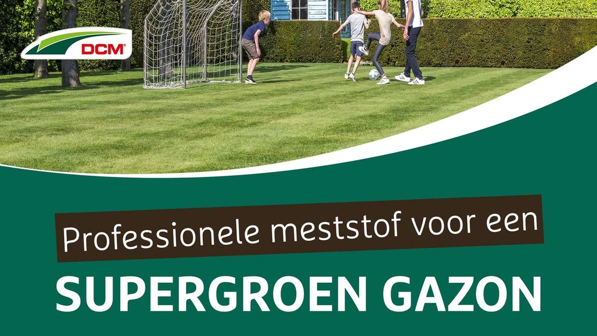 DCM Vital-Green Gazon - Gazonmest - Gazonmeststof Met MINIGRAN® Technology - 75m2 - 3 Kg 2 DCM Vital-Green Gazon - Gazonmest - Gazonmeststof Met MINIGRAN® Technology - 75m2 - 3 Kg - Image 2