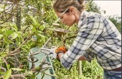 Stihl Accu Mini Kettingzaag SET - Snoeischaar - Snoeizaag - Hand Kettingzaag - Professioneel- Hovenier- Tuinman -Tuinartikelen Winkel 1200x779 5