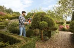 Black & Decker BLACK+DECKER BEHT201-QS Heggenschaar - 420W - 45cm - Gesnoerd -Tuinartikelen Winkel 1200x786