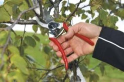 Felco 2 Snoeischaar - Rechtshandig - Max. Knipdiameter 25 Mm - Lengte 215 Mm 20 Felco 2 Snoeischaar - Rechtshandig - Max. Knipdiameter 25 Mm - Lengte 215 Mm -Tuinartikelen Winkel 1200x796 9