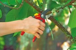 WOLF-Garten Snoeischaar "Premium Plus" RS 4000 - Aambeeld - Max. Knipdiameter 25 Mm - Links- En Rechtshandige - Softinleg Handgreep - Snijhoek 30° - Voor Grote Handen - Vervangbare Messen En Aambeeld -Tuinartikelen Winkel 1200x798 6