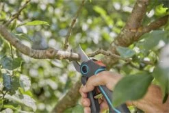 GARDENA AssistCut Snoeischaar- Ø 25mm 22 GARDENA AssistCut Snoeischaar- Ø 25mm -Tuinartikelen Winkel 1200x800 325