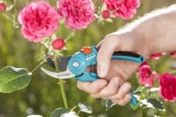 GARDENA - Classic B/S-M Bypass Snoeischaar - Ø 22mm - 25 Jaar Garantie 21 GARDENA - Classic B/S-M Bypass Snoeischaar - Ø 22mm - 25 Jaar Garantie -Tuinartikelen Winkel 1200x800 327