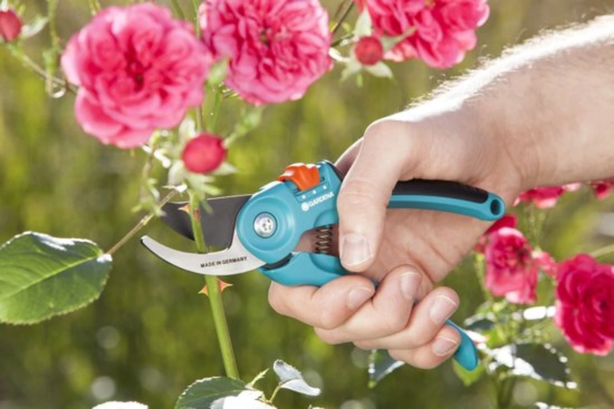 GARDENA - Classic B/S-M Bypass Snoeischaar - Ø 22mm - 25 Jaar Garantie 9 GARDENA - Classic B/S-M Bypass Snoeischaar - Ø 22mm - 25 Jaar Garantie - Image 9