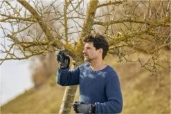 GARDENA - ExpertCut - Snoeischaar - 22 Diameter Tak -Tuinartikelen Winkel 1200x800 334