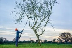 Bosch UniversalHedgePole 18 Heggenschaar Op Steel - Met 18 V Accu En Lader -Tuinartikelen Winkel 1200x800 346