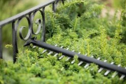 Bosch UniversalHedgeCut 18-55 Heggenschaar - Zonder 18V Accu En Oplader -Tuinartikelen Winkel 1200x800 354