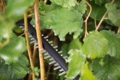 Bosch UniversalHedgeCut 18-55 Heggenschaar - Zonder 18V Accu En Oplader -Tuinartikelen Winkel 1200x800 357