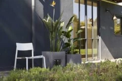 Capi Europe - Bloempot Vierkant Smooth NL - 50x50x50 - Zwart - Voor Binnen En Buiten - KBL904 -Tuinartikelen Winkel 1200x800 516