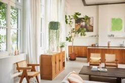 Elho B.for Swing 18 Hangpot - Bloempot Voor Binnen - Ø 18.0 X H 16.5 Cm - Groen/Blad Groen -Tuinartikelen Winkel 1200x800 517