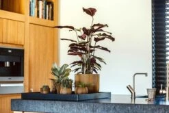 Capi Europe - Vaas Bol Groove XL - 39x33 - Goud - Bloempot Voor Binnen - Opening ⌀24 - GVGB270 -Tuinartikelen Winkel 1200x800 520