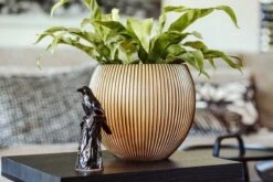 Capi Europe - Vaas Bol Groove XL - 63x51 - Goud - Bloempot Voor Binnen - Opening ⌀42 - GVGB271 -Tuinartikelen Winkel 1200x800 524