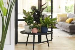 Elho Vibes Fold Rond 22 - Bloempot Voor Binnen - Ø 22.0 X H 20.2 Cm - Diepblauw -Tuinartikelen Winkel 1200x800 532