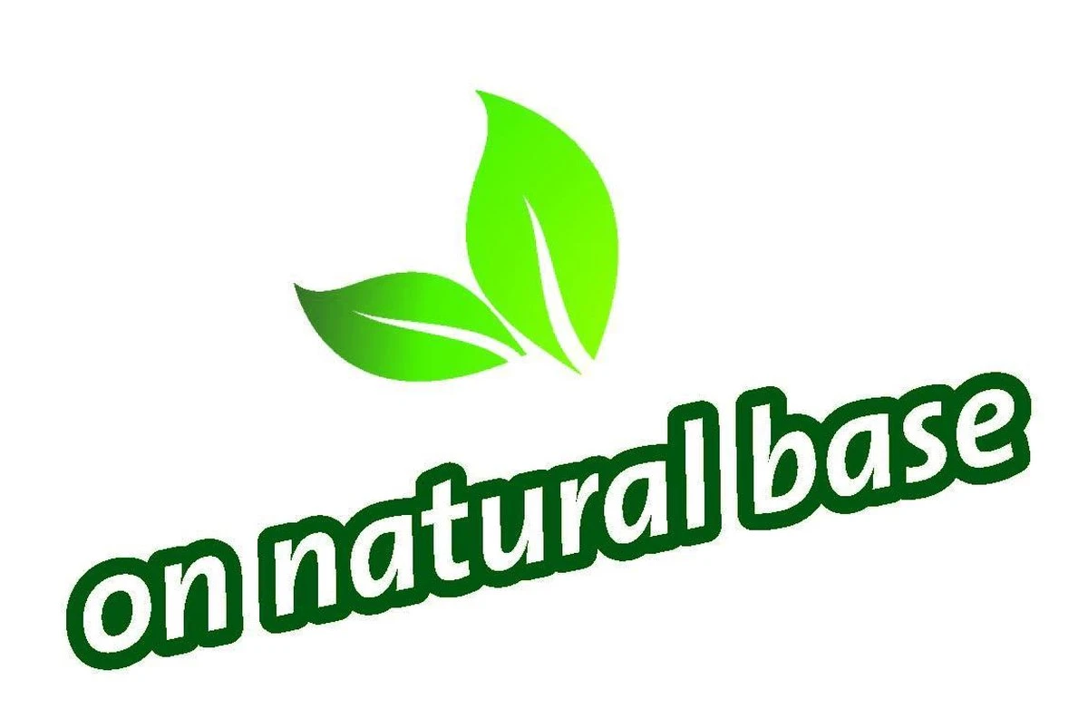 Topbuxus Buxus Health Mix 3 Topbuxus Buxus Health Mix - Image 3