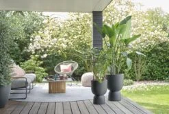 Elho Pure Coupe 41 - Bloempot Voor Binnen & Buiten - Ø 41.3 X H 57.9 Cm - Zwart/Zwart -Tuinartikelen Winkel 1200x805 8