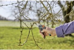 GARDENA - ExpertCut - Snoeischaar - 22 Diameter Tak -Tuinartikelen Winkel 1200x815