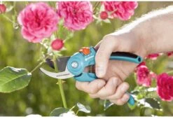 GARDENA - Classic B/S-M Bypass Snoeischaar - Ø 22mm - 25 Jaar Garantie 22 GARDENA - Classic B/S-M Bypass Snoeischaar - Ø 22mm - 25 Jaar Garantie -Tuinartikelen Winkel 1200x825 7