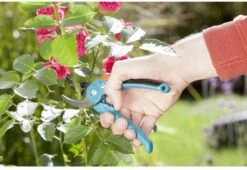 GARDENA - Classic B/S-M Bypass Snoeischaar - Ø 22mm - 25 Jaar Garantie 23 GARDENA - Classic B/S-M Bypass Snoeischaar - Ø 22mm - 25 Jaar Garantie -Tuinartikelen Winkel 1200x825 8