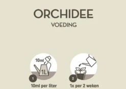 Pokon Orchidee Voeding - 500ml - Plantenvoeding - 10ml Per 1L Water -Tuinartikelen Winkel 1200x856 2
