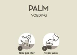 Pokon Palm Voeding - 250ml - Plantenvoeding - 10ml Per 1L Water -Tuinartikelen Winkel 1200x856 3