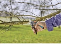 GARDENA - ExpertCut - Snoeischaar - 22 Diameter Tak -Tuinartikelen Winkel 1200x859