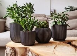 Capi Europe - Set Van 4 - Bloempot Binnen - Groove - Antraciet 7 Capi Europe - Set Van 4 - Bloempot Binnen - Groove - Antraciet -Tuinartikelen Winkel 1200x881 2