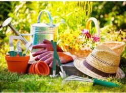 Tuingereedschap Set Tuinierset 10 Delig - Snoeischaar Tuinschaar Bloemenschaar Tuinschepje Plantenspuit Handhark 16 Tuingereedschap Set Tuinierset 10 Delig - Snoeischaar Tuinschaar Bloemenschaar Tuinschepje Plantenspuit Handhark -Tuinartikelen Winkel 1200x885 1