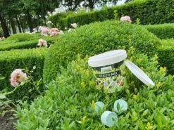 Topbuxus Buxus Health Mix 13 Topbuxus Buxus Health Mix -Tuinartikelen Winkel 1200x899 38