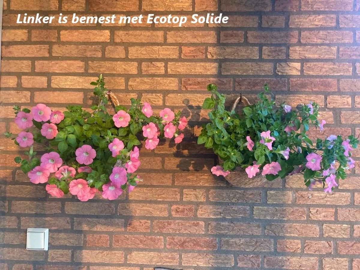 Ecotop Solide (Organisch / Tuinmest / Universeel). Meststof Op Basis Van Koemest Met Natuurlijke Toevoeging Van Wormenmest, Lavameel En Micro-organismen. Zak Ca. 40L. 3 Ecotop Solide (Organisch / Tuinmest / Universeel). Meststof Op Basis Van Koemest Met Natuurlijke Toevoeging Van Wormenmest, Lavameel En Micro-organismen. Zak Ca. 40L. - Image 3