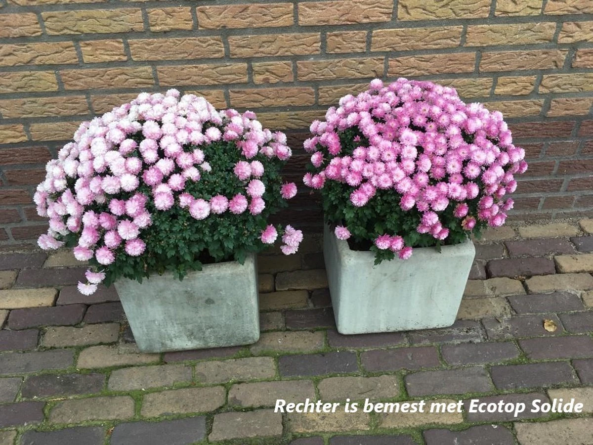 Ecotop Solide (Organisch / Tuinmest / Universeel). Meststof Op Basis Van Koemest Met Natuurlijke Toevoeging Van Wormenmest, Lavameel En Micro-organismen. Zak Ca. 40L. 2 Ecotop Solide (Organisch / Tuinmest / Universeel). Meststof Op Basis Van Koemest Met Natuurlijke Toevoeging Van Wormenmest, Lavameel En Micro-organismen. Zak Ca. 40L. - Image 2