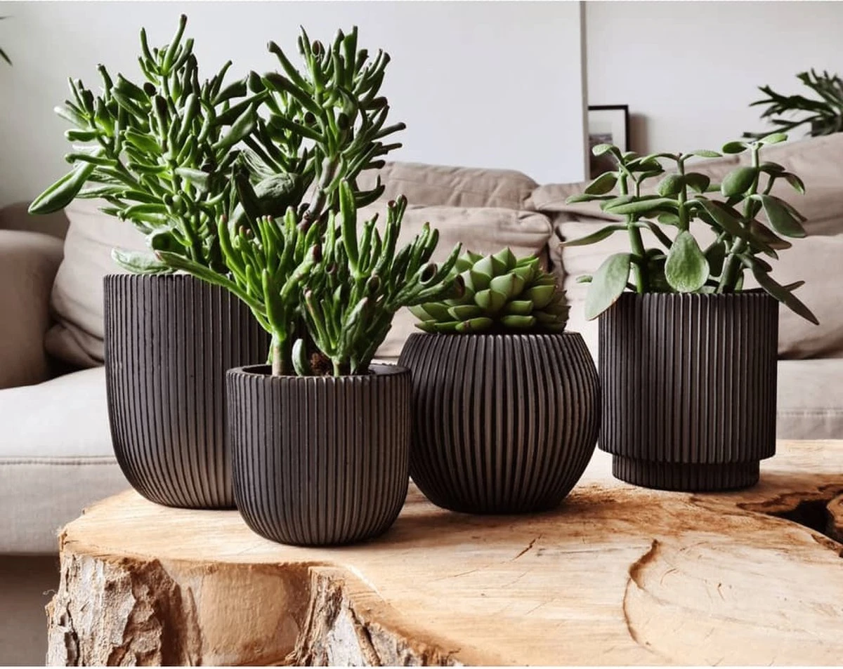 Capi Europe - Set Van 4 - Bloempot Binnen - Groove - Antraciet 5 Capi Europe - Set Van 4 - Bloempot Binnen - Groove - Antraciet - Image 5