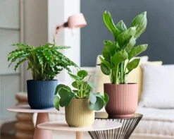 Elho Vibes Fold Rond 22 - Bloempot Voor Binnen - Ø 22.0 X H 20.2 Cm - Diepblauw -Tuinartikelen Winkel 1200x956 5