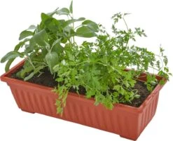 Tectake - Verticaal Plantenrek Met 4 Bakken - 403445 -Tuinartikelen Winkel 1200x975 5