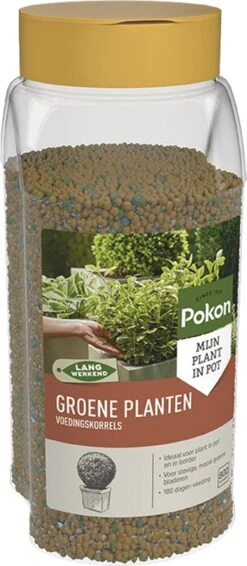 Pokon Voedingskorrels Voor Groene Planten - 800gr - 180 Dagen Voeding - Plantenvoeding -Tuinartikelen Winkel 524x1200 2