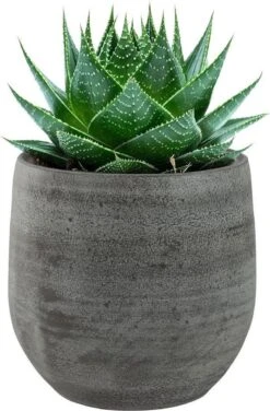 Pot Esra Mystic Grey Bloempot Binnen 15 Cm -Tuinartikelen Winkel 789x1200 2