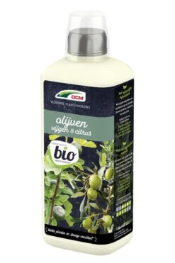 Dcm Meststof Vloeibaar Olijven & Vijgen - Siertuinmeststoffen - 800 Ml Bio -Tuinartikelen Winkel 799x1200 58