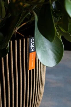 Capi Europe - Vaas Elegant Laag Groove NL - 34x46 - Goud - Voor Binnen En Buiten - KGVGB782 -Tuinartikelen Winkel 800x1200 106