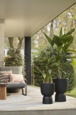 Elho Pure Coupe 41 - Bloempot Voor Binnen & Buiten - Ø 41.3 X H 57.9 Cm - Zwart/Zwart -Tuinartikelen Winkel 800x1200 107