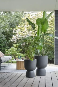 Elho Pure Coupe 41 - Bloempot Voor Binnen & Buiten - Ø 41.3 X H 57.9 Cm - Zwart/Zwart -Tuinartikelen Winkel 800x1200 108