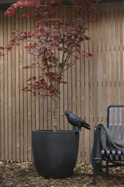 Capi Europe - Bloempot Bol Smooth NL - 43x41 - Zwart - Voor Binnen En Buiten - KBL933 22 Capi Europe - Bloempot Bol Smooth NL - 43x41 - Zwart - Voor Binnen En Buiten - KBL933 -Tuinartikelen Winkel 800x1200 125