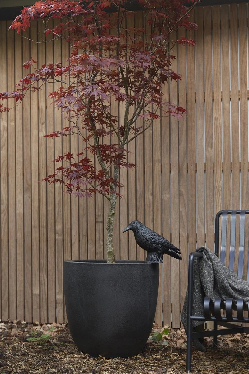 Capi Europe - Bloempot Bol Smooth NL - 43x41 - Zwart - Voor Binnen En Buiten - KBL933 10 Capi Europe - Bloempot Bol Smooth NL - 43x41 - Zwart - Voor Binnen En Buiten - KBL933 - Image 10