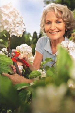 WOLF-Garten Snoeischaar "Premium Plus" RR 4000 - Max. Knipdiameter 22 Mm - Links- En Rechtshandige - Softinleg Handgreep - Snijhoek 30° - Voor Grote Handen - Vervangbare Messen -Tuinartikelen Winkel 800x1200 45